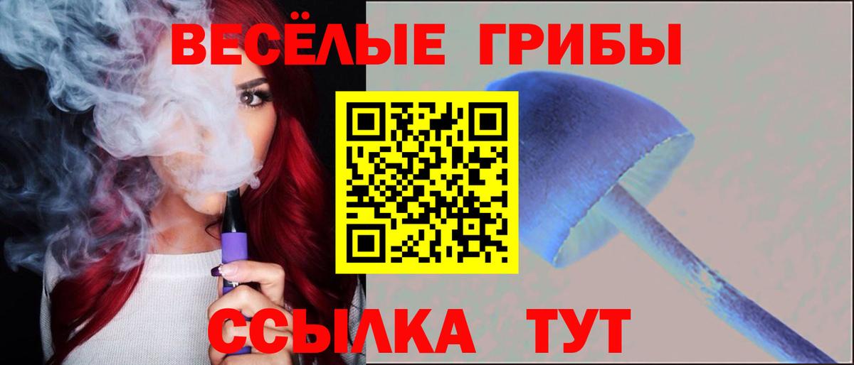 Галлюциногенные грибы мицелий Апшеронск